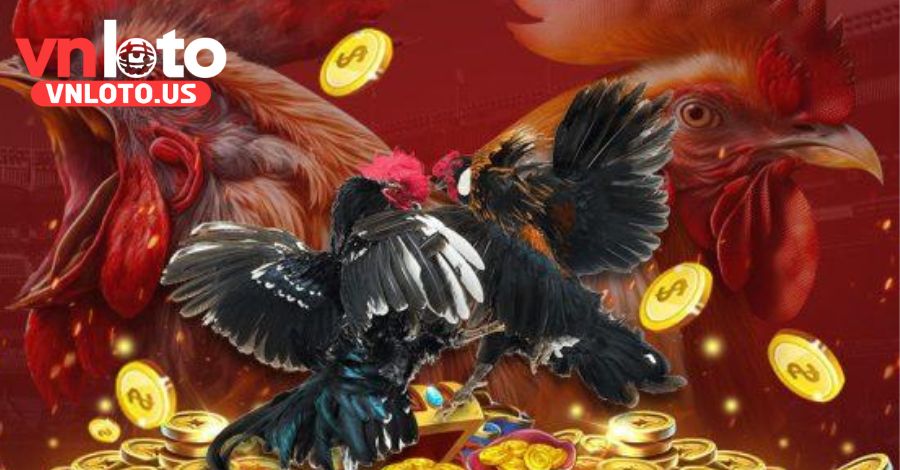 Các loại gà được nuôi và huấn luyện tại trường gà Savan