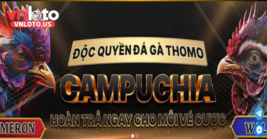 Hướng dẫn xem đá gà trực tiếp tại Vnloto