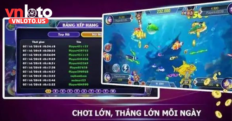 F&Q thường gặp tại bắn cá bingo tại Vnloto